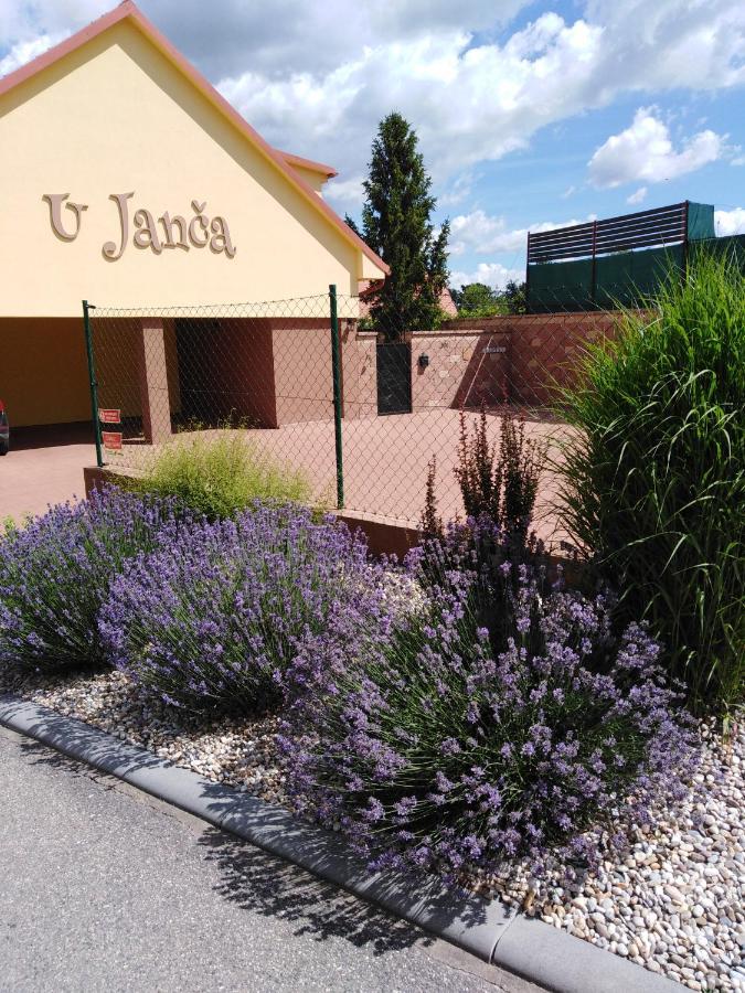 Ubytovani U Janca Lednice Exterior photo